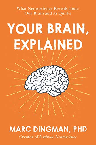  Your Brain, Explained: What Neuroscience Reveals About Your Brain and its Quirks  by Marc Dingman, Phd