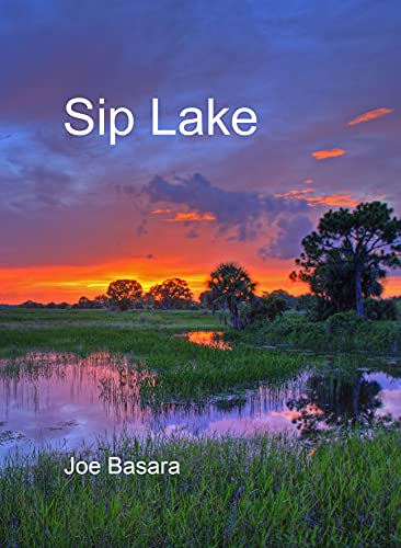  Sip Lake  by Joe Basara